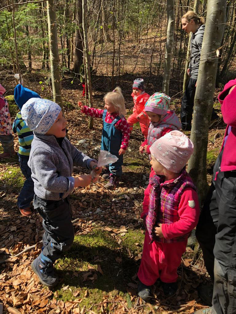 Waldwiesel Waldspielgruppe